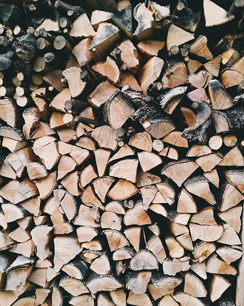 Seasoned Logs